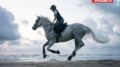 Rüyada ata görmek, ata binmek ve hissetmek ile ilgili temel