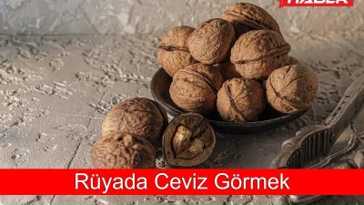 Rüyada ceviz görmek, kişisel gelişim, maddi kazançlar ve aile ilişkileri