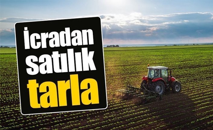 Yerköy’de 167.042 m² tarım arazisi icradan satılıktır