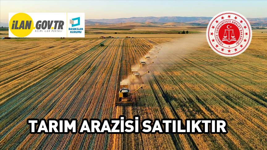 Yerköy’de tarla vasıflı kuru tarım arazisi icradan satılıktır