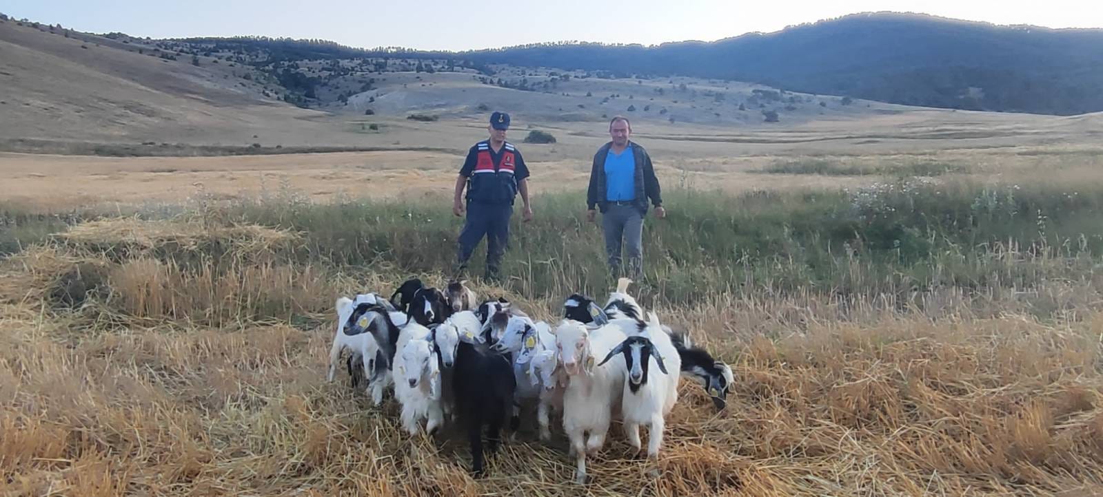 Akdağmadeni İlçesine bağlı Bozhöyük