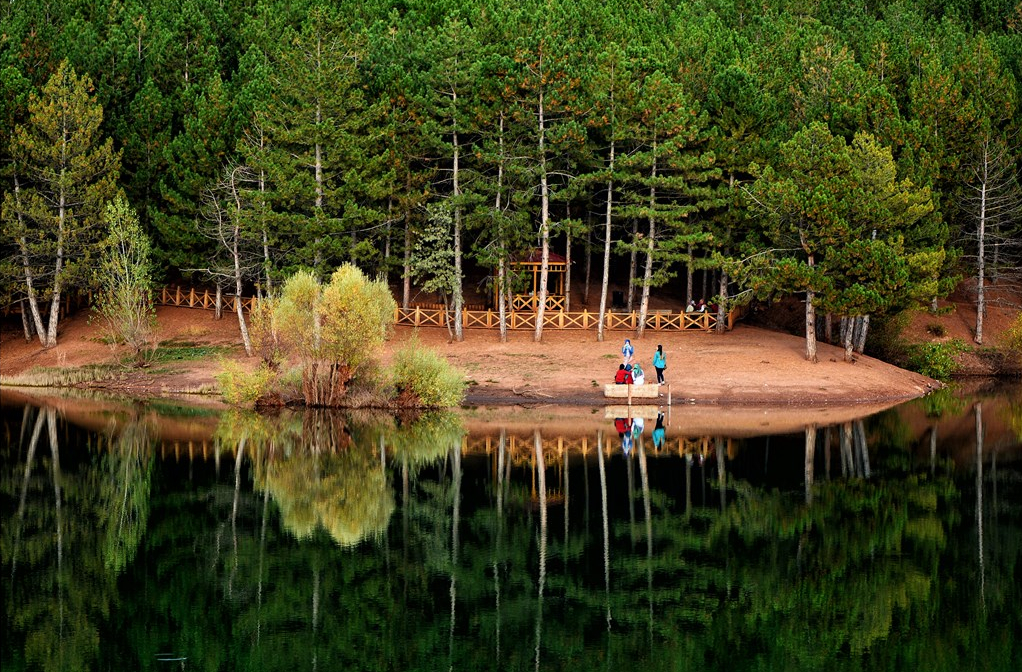 camlik-yozgat-millipark