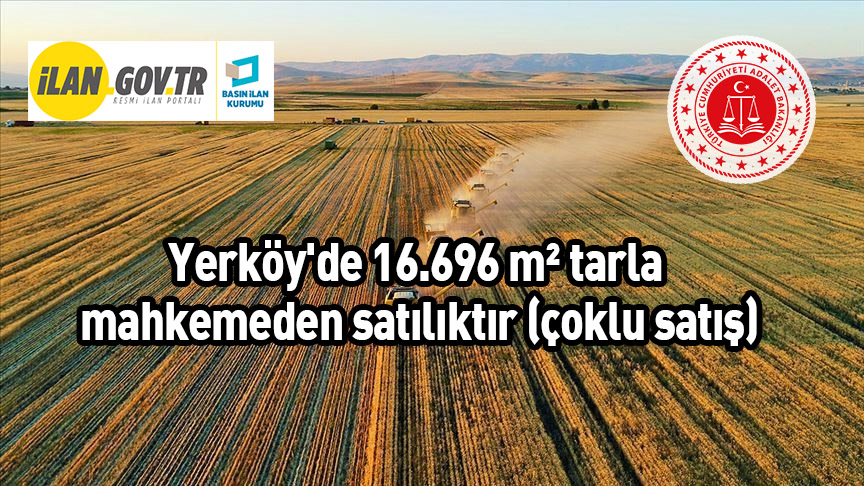 Yerköy’de 16.696 m² tarla mahkemeden satılıktır (çoklu satış)