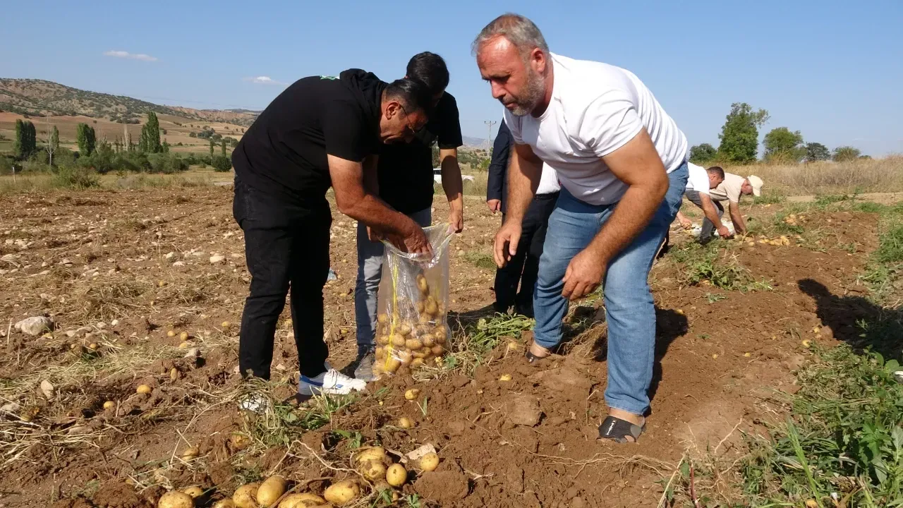 Yozgat’ın Aydıncık ilçesinde patates