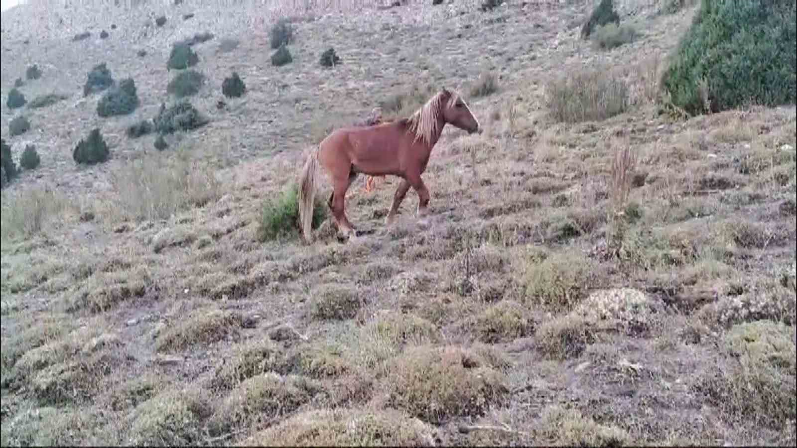 Çayıralan’da dağlık alanda yaralı