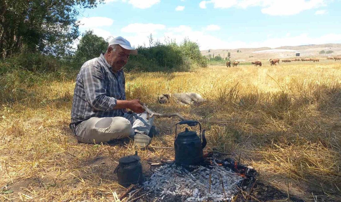 Yozgat’ın bozkırlarında, hayvanlarını otlatan