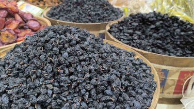 Soğuk hava şartlarında vücut direncini arttırmak ve rüzgar etkisinden korunmak