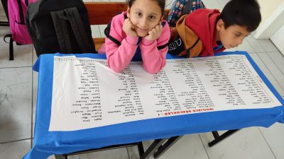 Çiçekdağı İlçe Milli Eğitim Müdürlüğü tarafından temin edilen eğitici sıra