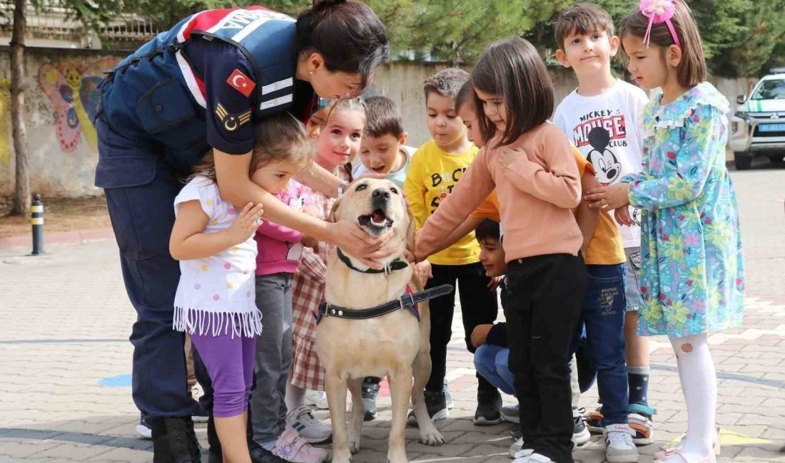 Kırşehir İl Jandarma Komutanlığı