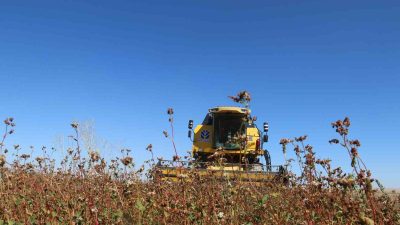 Ziraat Odası Başkanı Mevlüt Toprak, Kırşehir’de mevsimsel etkiler nedeniyle bölgesel