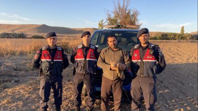 Yerköy’de jandarma ekipleri tarafından yaralı halde bulunan bir şahin, tedavi