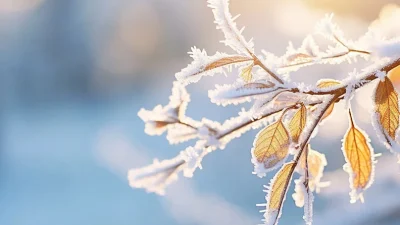 Meteoroloji 7. Bölge Müdürlüğü’nden alınan bilgilere göre, Yozgat genelinde 18