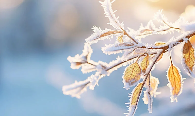 Meteoroloji 7. Bölge Müdürlüğü’nden