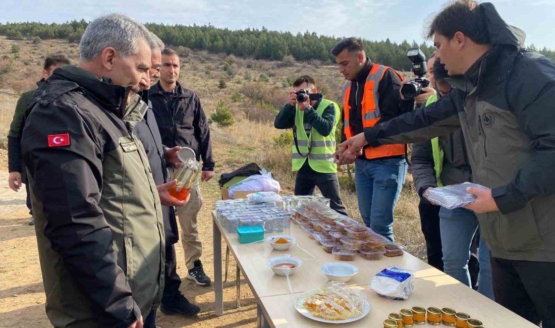 Yozgat Çamlık Bal Ormanı’nda