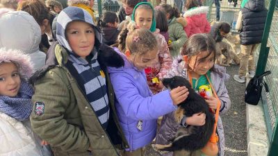 Sokak hayvanları için tasarlanan ve örnek proje olması hedeflenen ‘Evcil