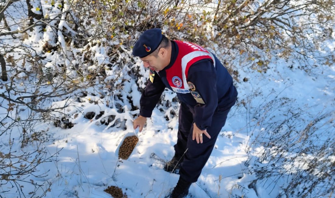 Yozgat İl Jandarma Komutanlığı