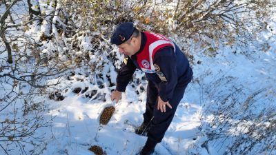 Yozgat İl Jandarma Komutanlığı Çevre Doğa ve Hayvanları Koruma Timi