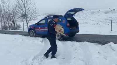 Yozgat İl Jandarma Komutanlığı Çevre ve Doğa Hayvanlarını Koruma (HAYDİ)