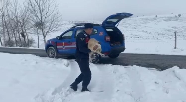 Yozgat İl Jandarma Komutanlığı