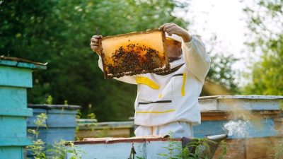 Yerköy Halk Eğitim Merkezi, yaptığı paylaşımla Hemba Platformu üzerinden yeni