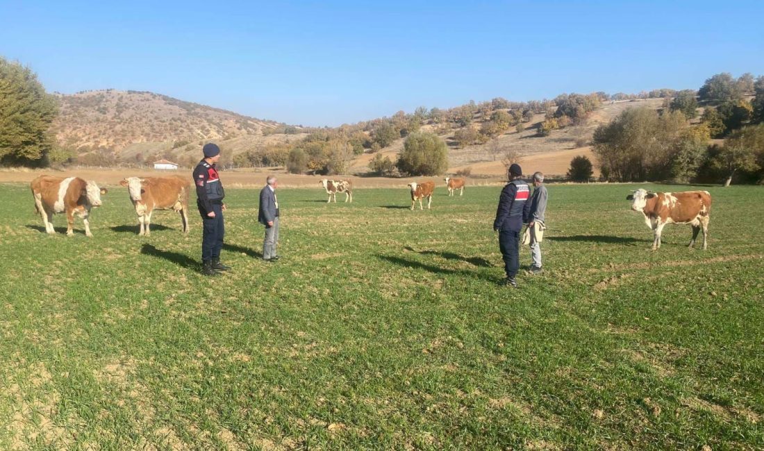 Yozgat İl Jandarma Komutanlığı