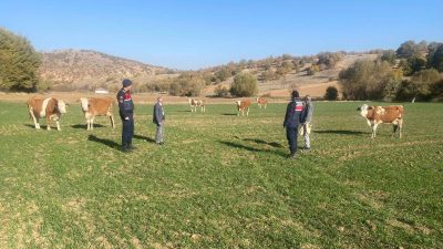 Yozgat İl Jandarma Komutanlığı Merkez İlçe Jandarma Komutanlığı sorumluluk bölgesindeki