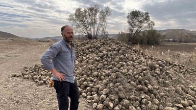 Yozgat’ta Şeker Fabrikaları alımlarını randevu sistemine göre yapmaya başlaması pancar