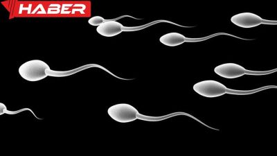 “Spermin yumurtaya girmesi nasıl hissedilir?” sorusu, gebelik sürecinin başlangıcına dair