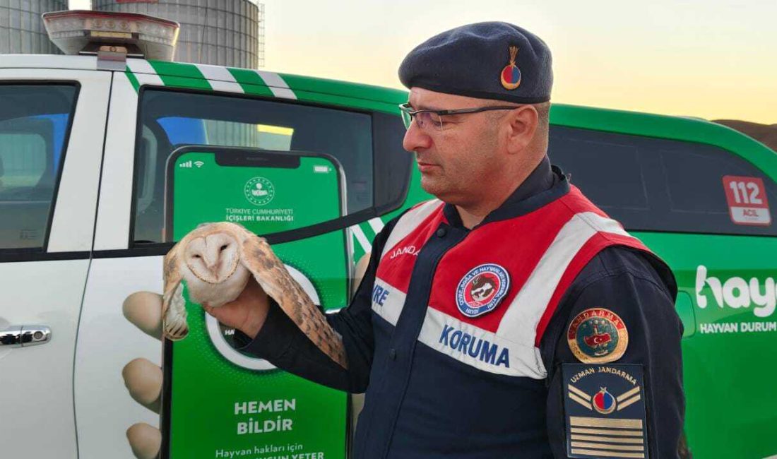 Yerköy Sekili köyünde Mustafa