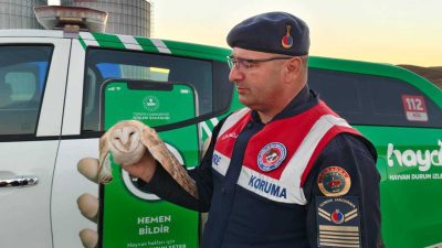 Yerköy Sekili köyünde Mustafa Çolakoğlu ismli vatandaş, yaralı peçeli baykuş’a