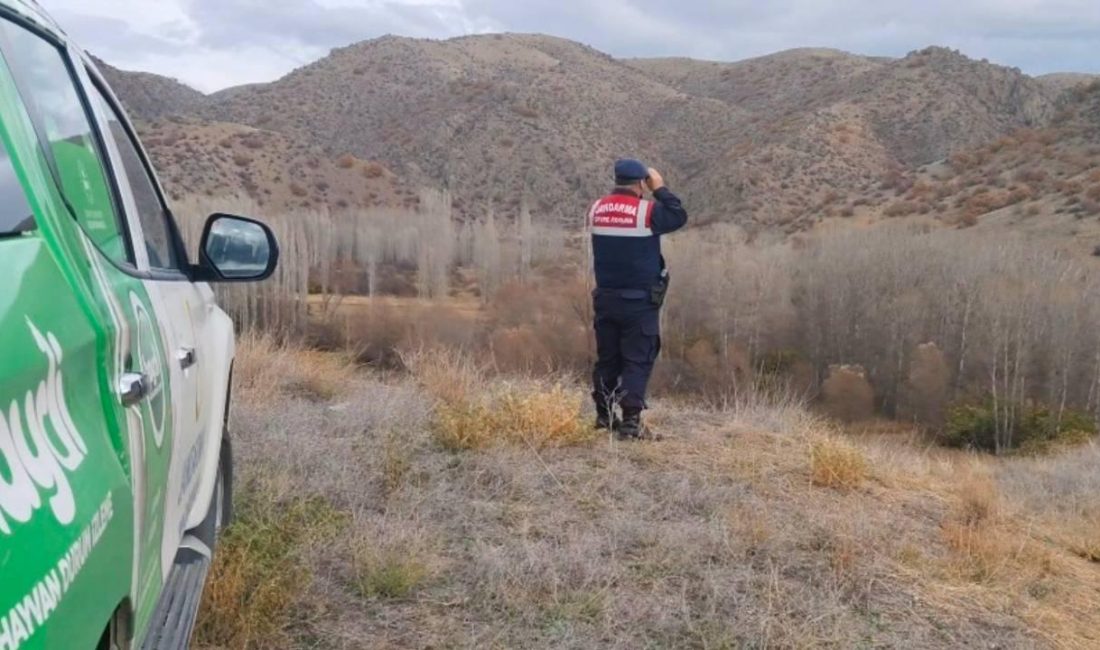 Yozgat İl Jandarma Komutanlığı,