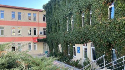 Yozgat Tarım ve Orman Müdürlüğü binasını kaplayan sarmaşıklar dikkat çekiyor.