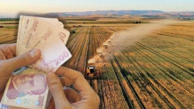 Yerköy İlçe Tarım ve Orman Müdürlüğü, çiftçilere yönelik destekleme ödemelerinin