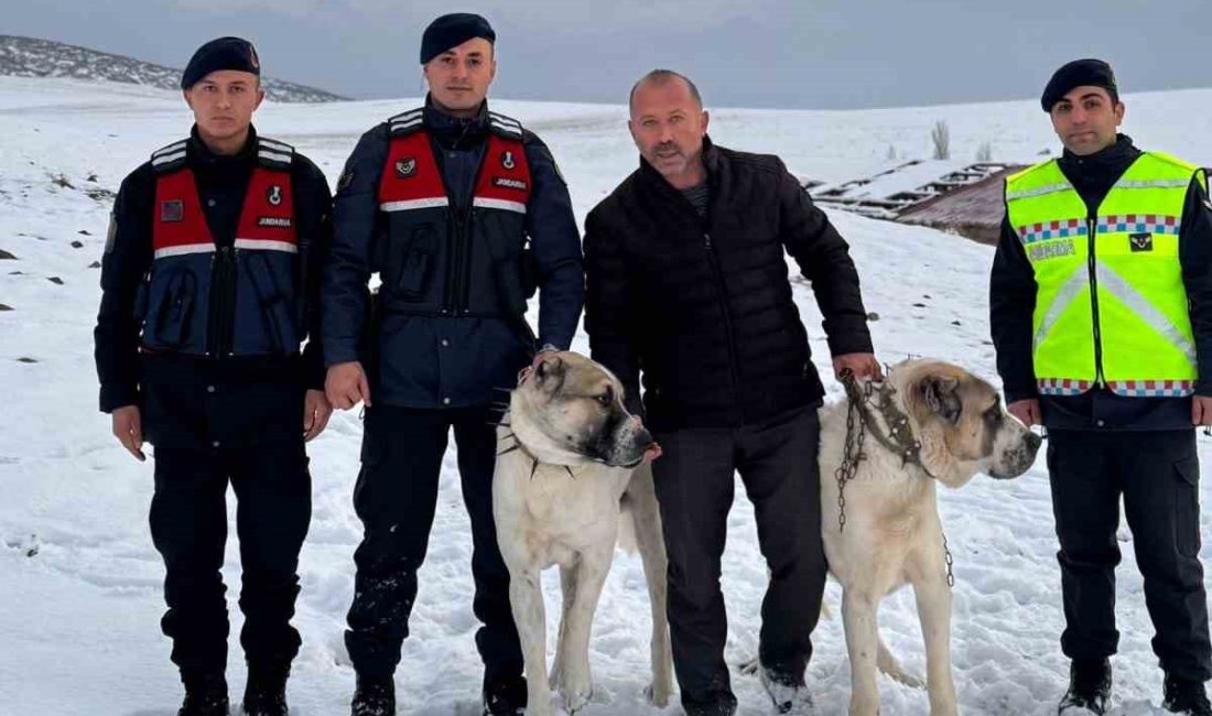 Akçakent İlçesi Ödemişli köyünde