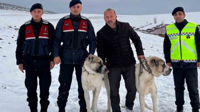 Akçakent İlçesi Ödemişli köyünde çalınan ve değeri binlerce TL olan