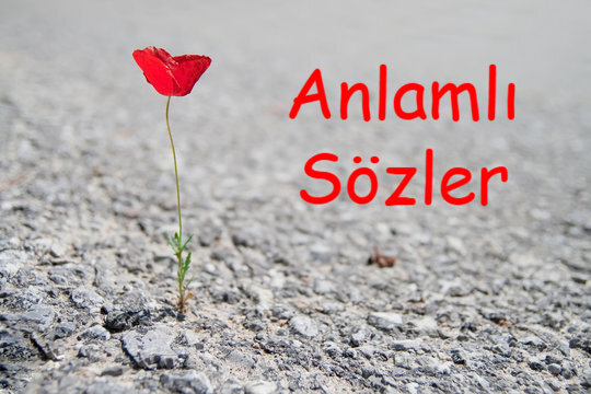 Hayatın her alanında bizi etkileyen ve derin düşüncelere sevk eden