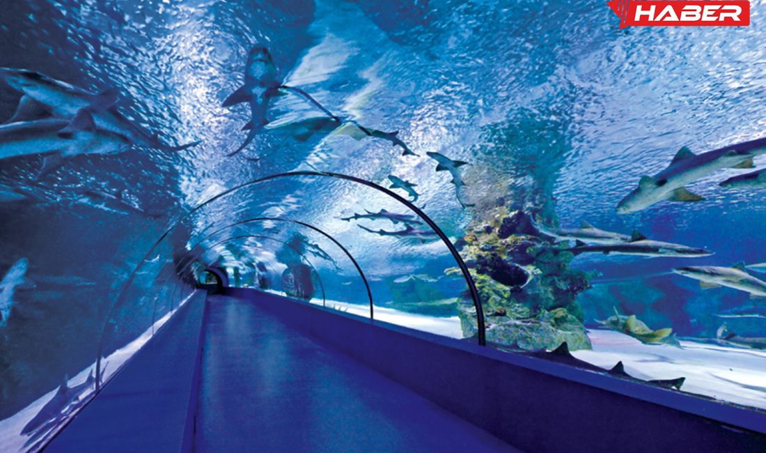 Antalya’nın gözde turistik mekanlarından biri olan Antalya Akvaryum, dünyanın en
