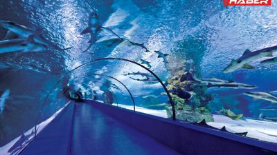 Antalya’nın gözde turistik mekanlarından biri olan Antalya Akvaryum, dünyanın en