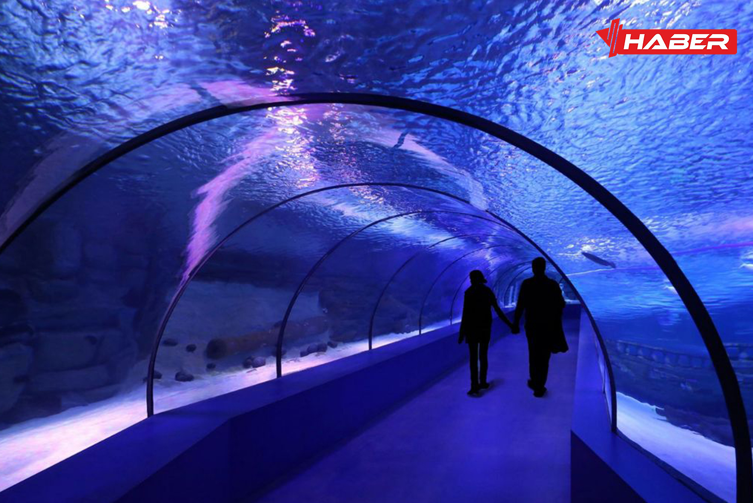 antalya akvaryum giriş