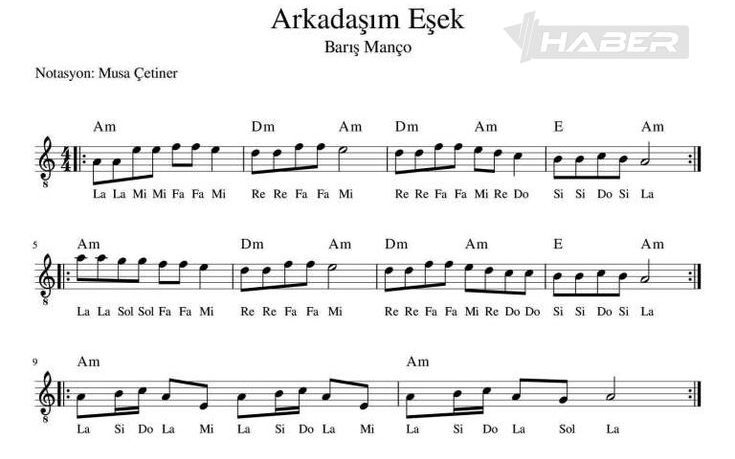 arkadaşım eşek notaları