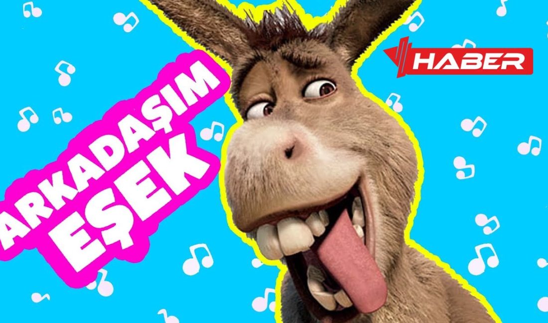 Barış Manço'nun efsane şarkısı