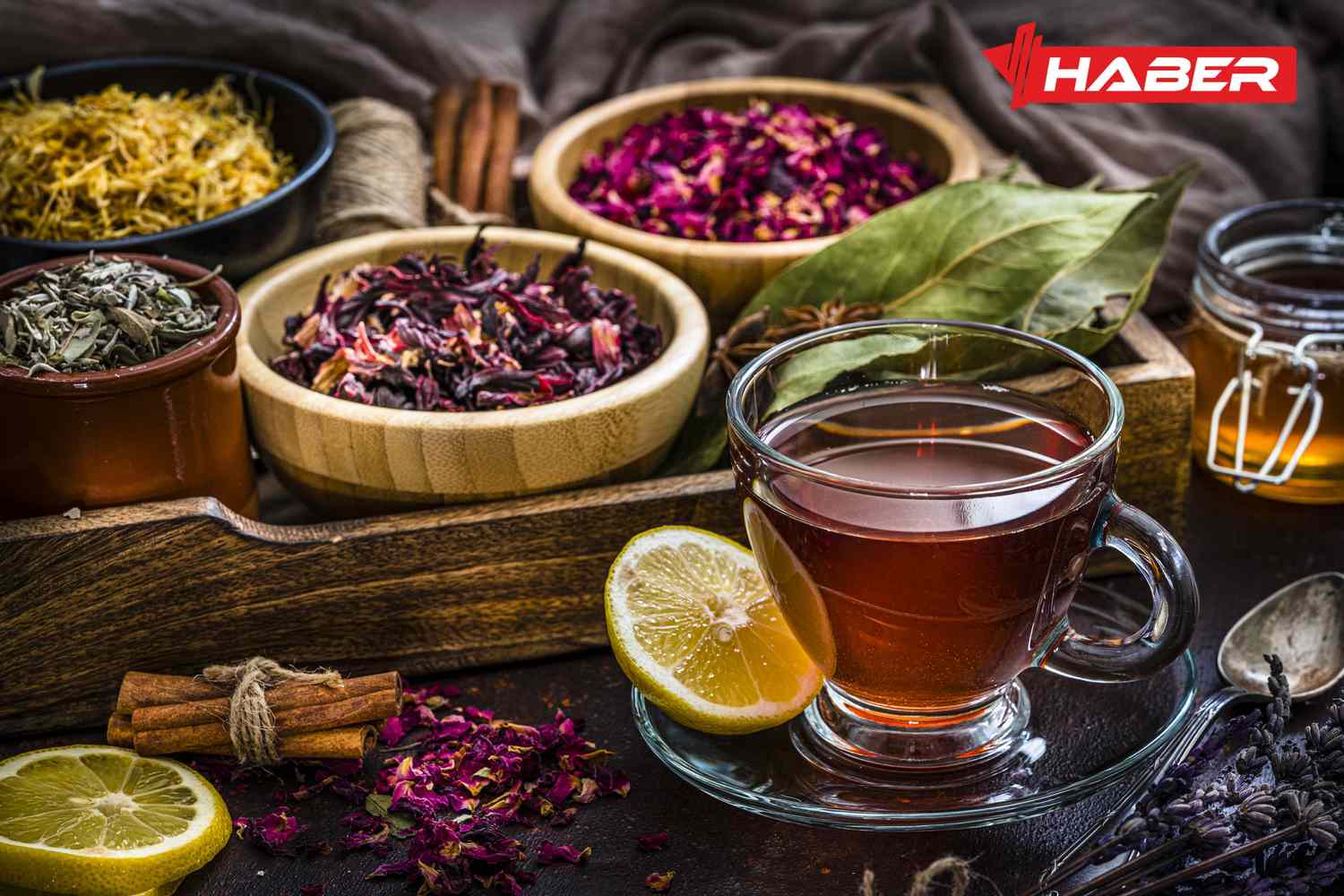 Kış Hastalıkları