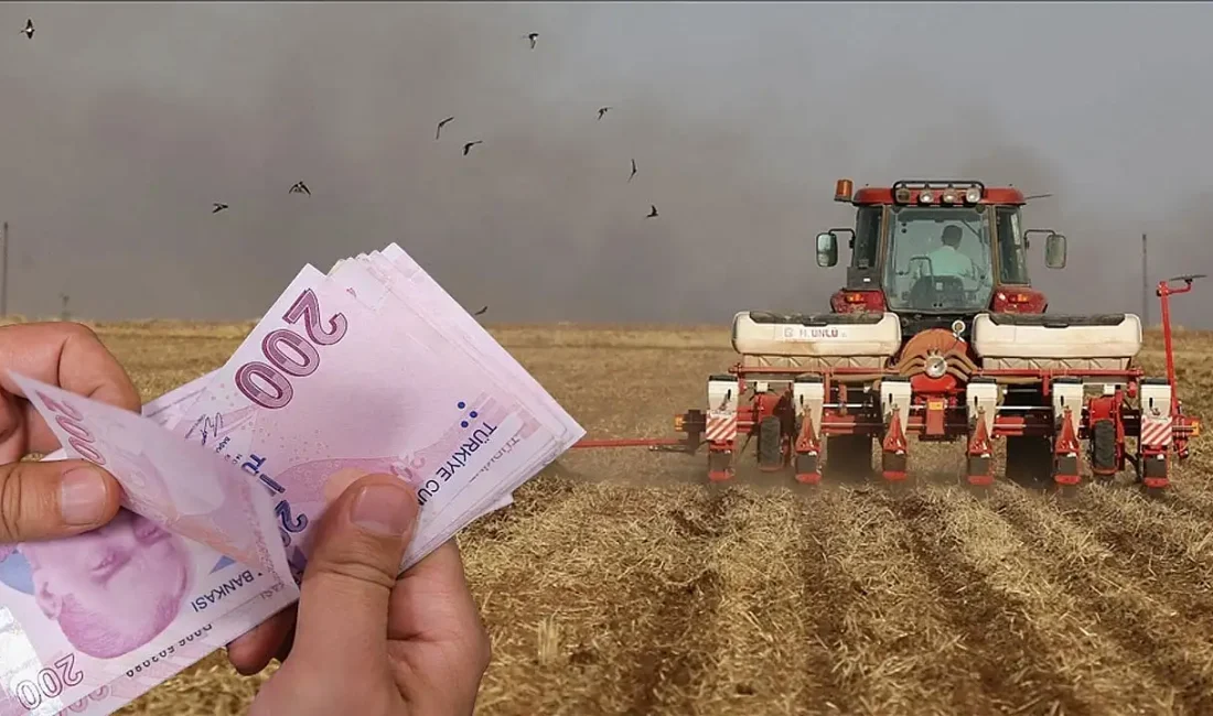 Yerköy İlçe Tarım ve Orman Müdürlüğü, çiftçilere yönelik destekleme ödemelerinin