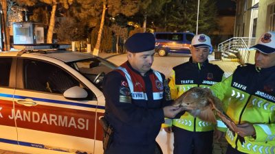 Yozgat-Boğazlıyan İl Yolunda trafik uygulaması gerçekleştiren jandarma ekipleri, yerde yaralı