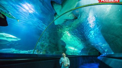 Dünyanın en büyük tematik akvaryumlarından biri olan İstanbul Akvaryum, su
