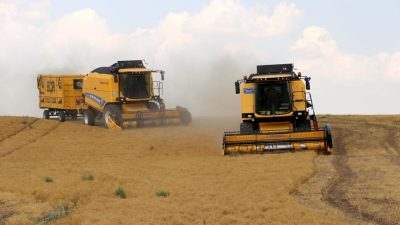 Yerköy İlçe Tarım ve Orman Müdürlüğü, 2024 yılı Hububat, Baklagil