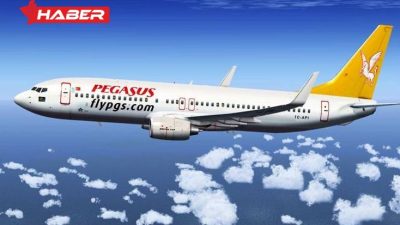 Pegasus Hava Yolları, Türkiye'nin düşük maliyetli uçuş modeliyle hizmet veren
