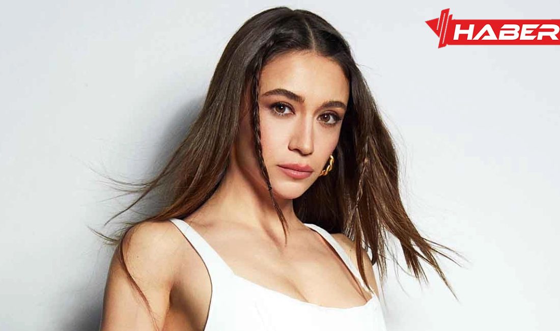 Sibel Aytan, Türk dizi ve sinema dünyasında yer almış, oyunculuğu