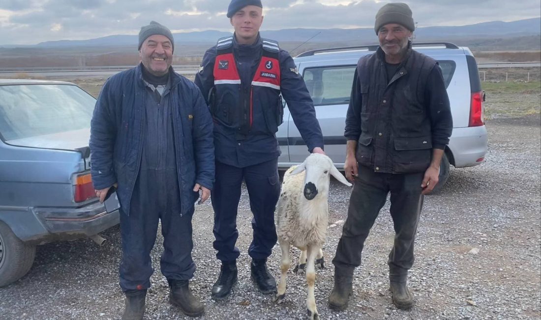 Yerköy İlçe Jandarma Komutanlığı ekipleri, Karacaahmetli Köyü mevkiinde gerçekleştirdikleri önleyici