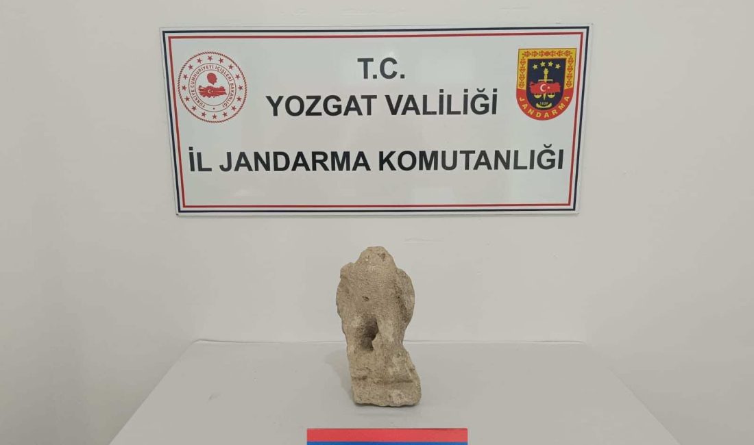 Yozgat’ın Sarıkaya ilçesinde gerçekleştirilen